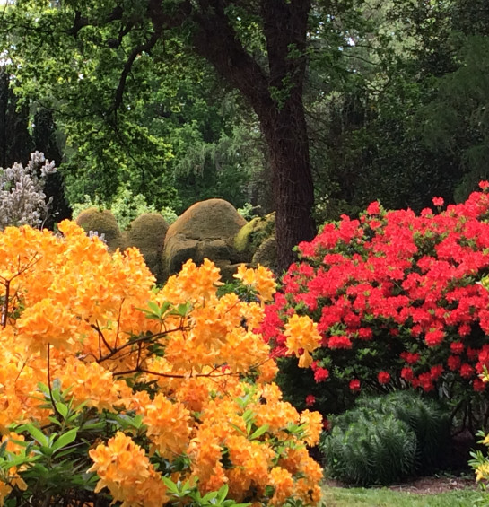 Современные парки и классический сады Англии. Thе Chelsea Flower Show 2027