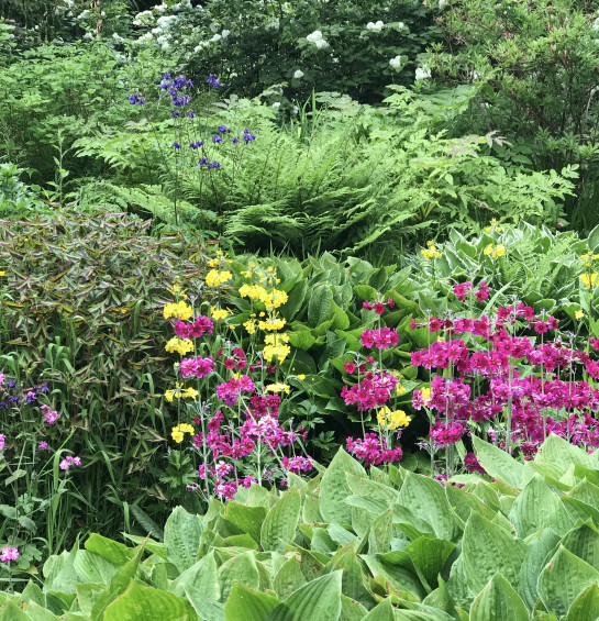 Цветники Англии и The Hampton Court Flower Show 2027