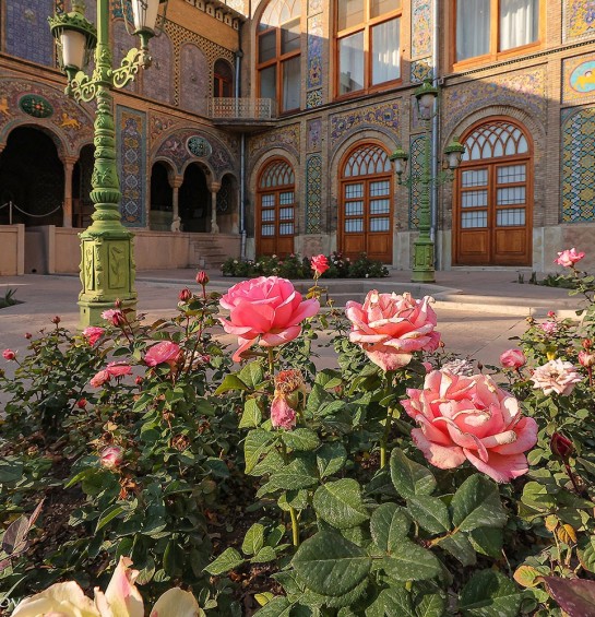 Фестиваль дамасской розы в Иране