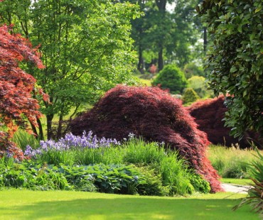 RHS Wisley Gardens